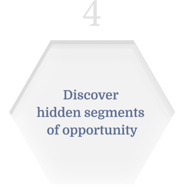 4 - Discover hidden segments of opportunity
