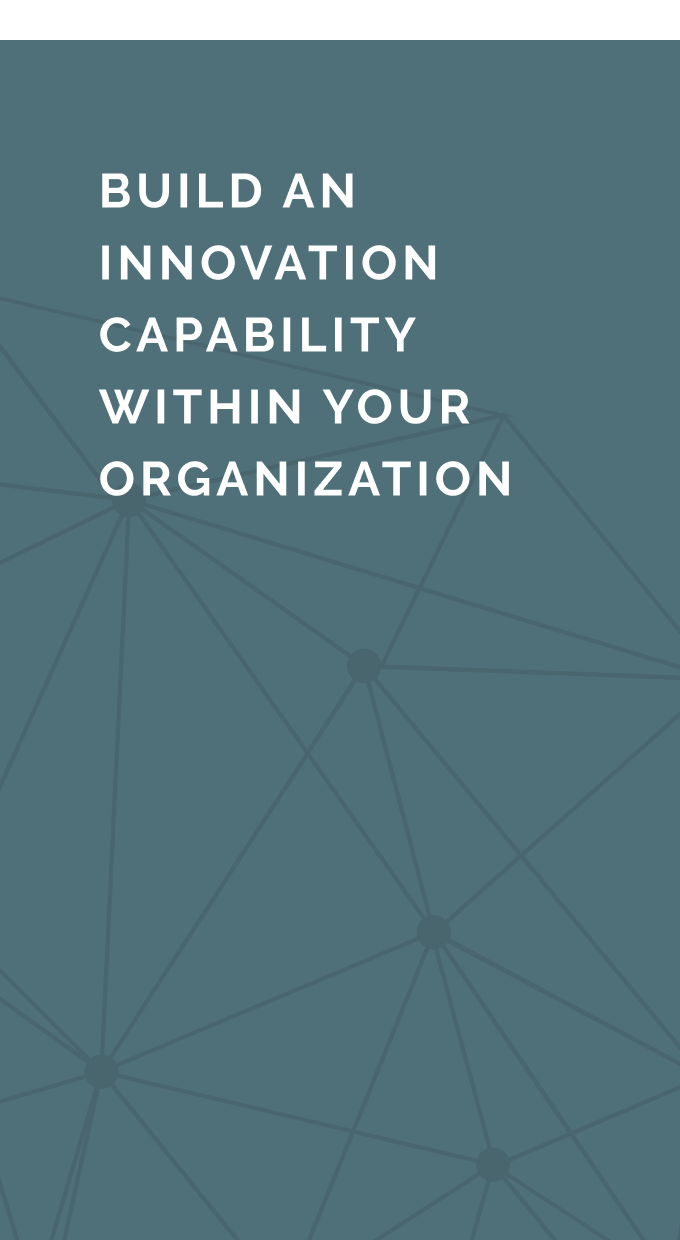 Build an innovation capability within your organization