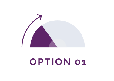 OPTION 01 OPTION 01