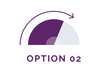 OPTION 02 OPTION 02