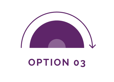 OPTION 03